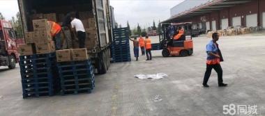 專業誠信搬家服務 廂貨、金杯、面包車齊全，人工打包搬運全程無憂