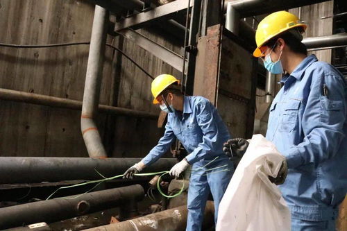 青春在檢修現場閃光 公司機關青年突擊隊助力裝置大修，以擔當詮釋責任